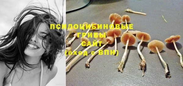МДМА Новодвинск