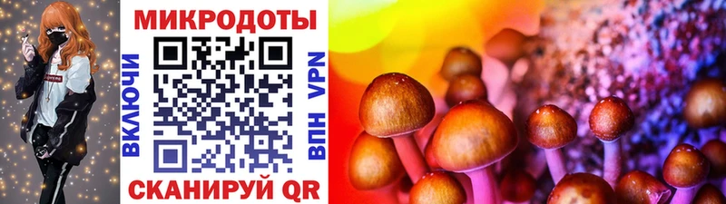Галлюциногенные грибы MAGIC MUSHROOMS  Афипский 